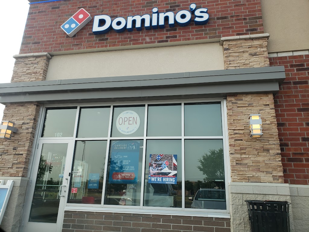 Domino's Pizza 55430