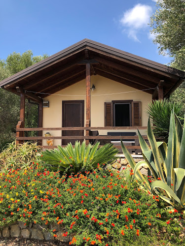 Cascina Coppola à Marina di Camerota