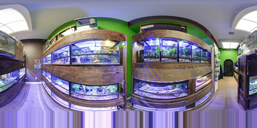 Pet Store «Clarksville Reef & Reptiles», reviews and photos, 329 Warfield Blvd, Clarksville, TN 37043, USA