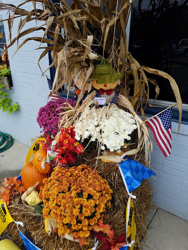 Auto Parts Store «NAPA Auto Parts - CCB Investments LLC», reviews and photos, 9520 Kings Hwy, King George, VA 22485, USA