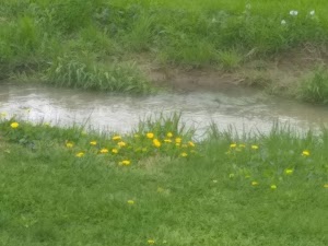 Milligan Park - photo 53