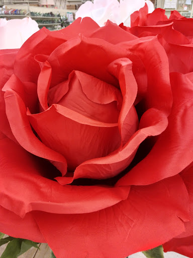 Craft Store «Hobby Lobby», reviews and photos, 200 S Randall Rd, Elgin, IL 60123, USA