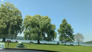 Stewart Park - photo 55