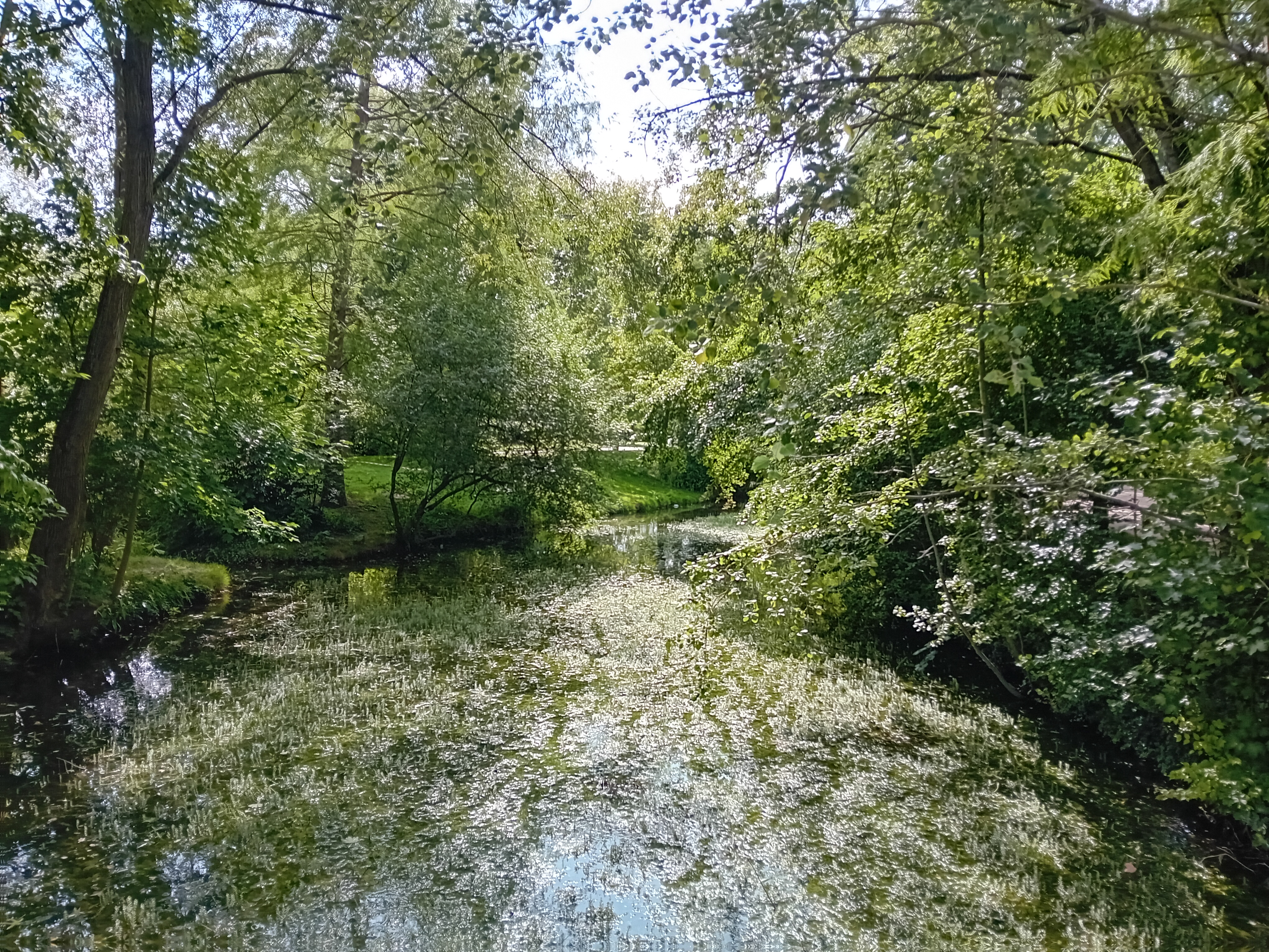Photo n° 3 de l'avis de Stéphanie.c fait le 16/07/2023 à 18:42