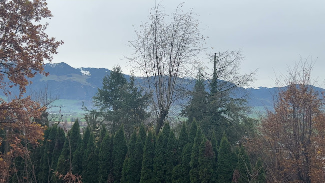 Rezensionen über Fellmann Garten AG in Zug - Gartenbauer