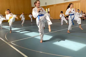 Taekwondo Wehntal image