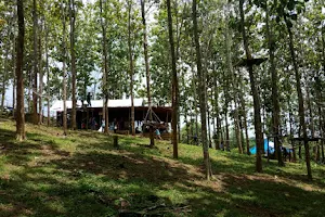Kebun Jati Atok Campsite image