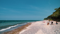 Strand Nienhagen'in fotoğrafı çok temiz temizlik seviyesi ile