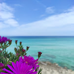 Photo n°2 de l'avis de SIMONA.A fait le 09/05/2023 à 11:10 sur le  Ristorante Gran Pavese à Monopoli