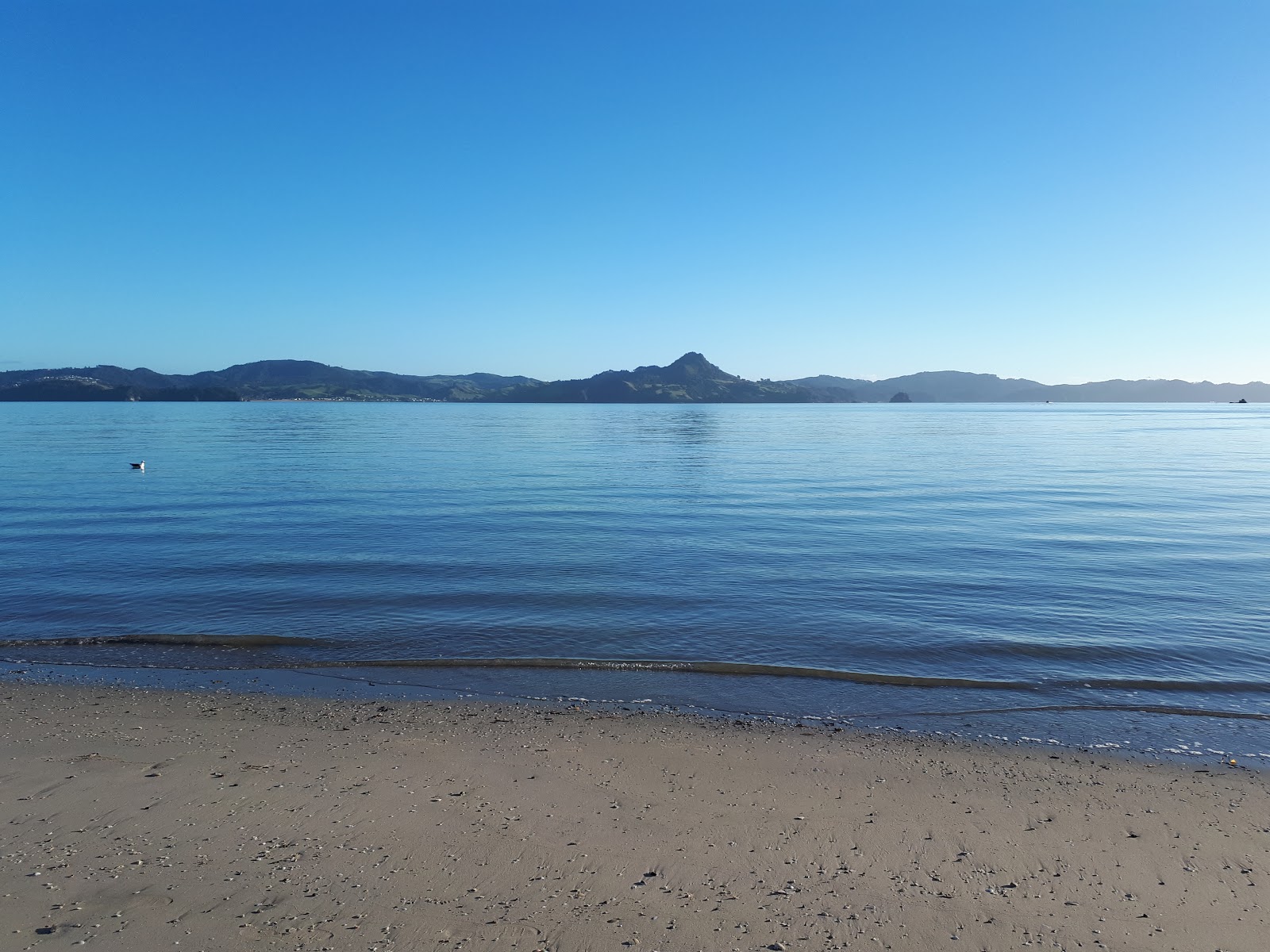 Foto av Cooks Beach omgiven av berg