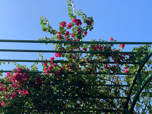 Top 10 cửa hàng đồ gỗ Huyện Đảo Cồn cỏ Quảng Trị 2022