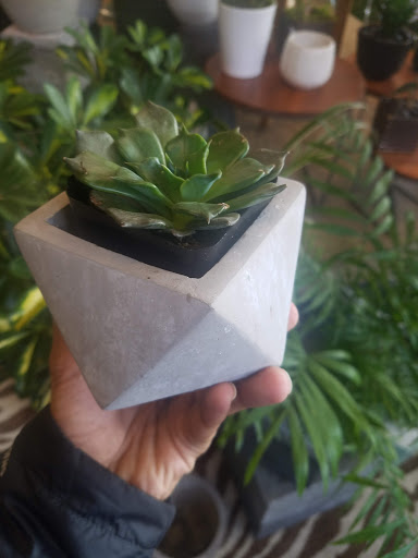 Florist «Mercer Island Florist», reviews and photos, 3006 78th Ave SE, Mercer Island, WA 98040, USA