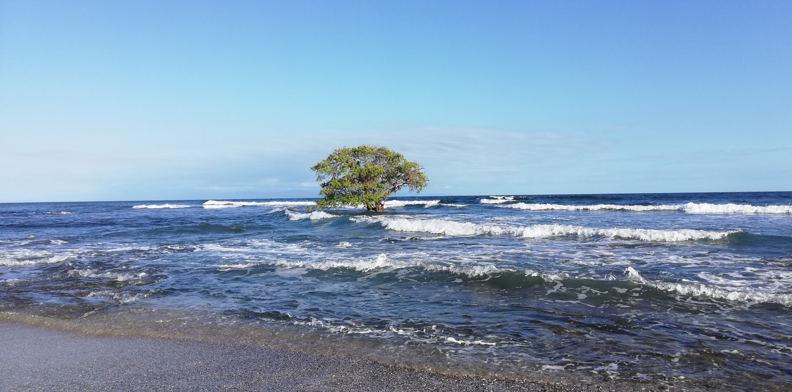 Foto van Quizales Beach gelegen in een natuurlijk gebied