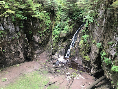 Beaver Falls Karst Trail