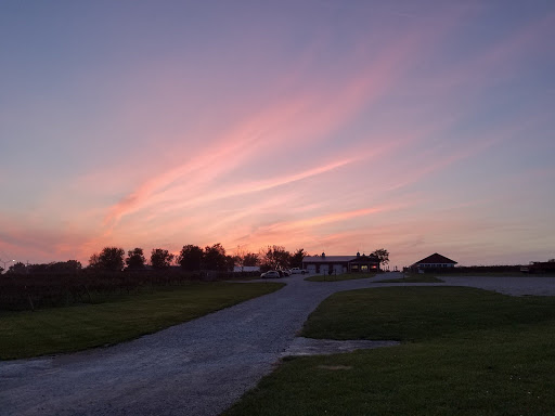 Vineyard «Stone Pillar Vineyard & Winery», reviews and photos, 11000 S Woodland St, Olathe, KS 66061, USA