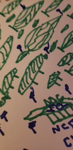 Art Museum «Blaffer Art Museum», reviews and photos, 4173 Elgin St, Houston, TX 77004, USA