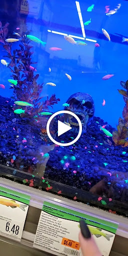 Pet Supply Store «Pet Supplies Plus», reviews and photos, 2801 Wade Hampton Blvd #100, Taylors, SC 29687, USA