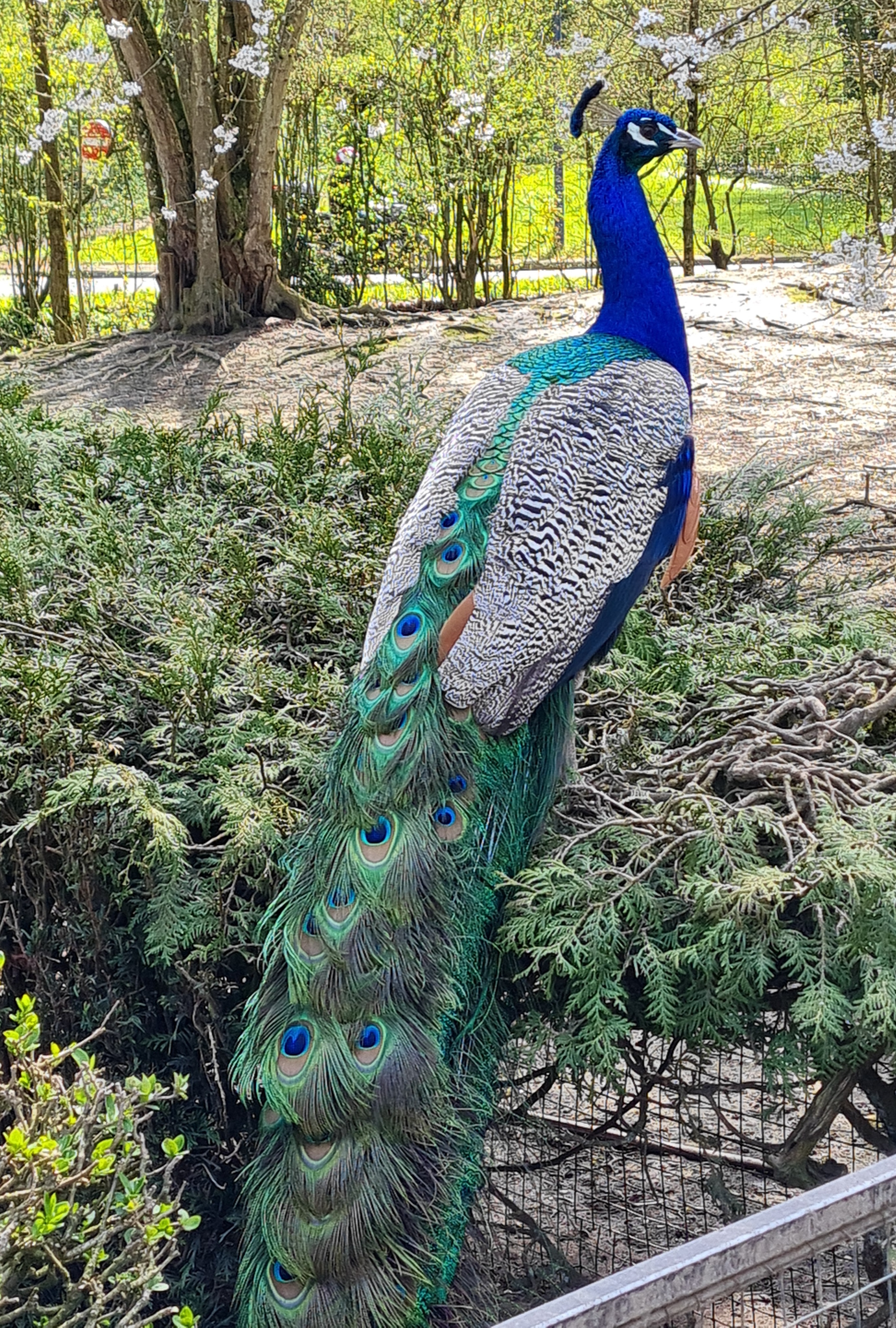 Photo n° 6 de l'avis de Stephanie.i fait le 07/05/2023 à 08:53