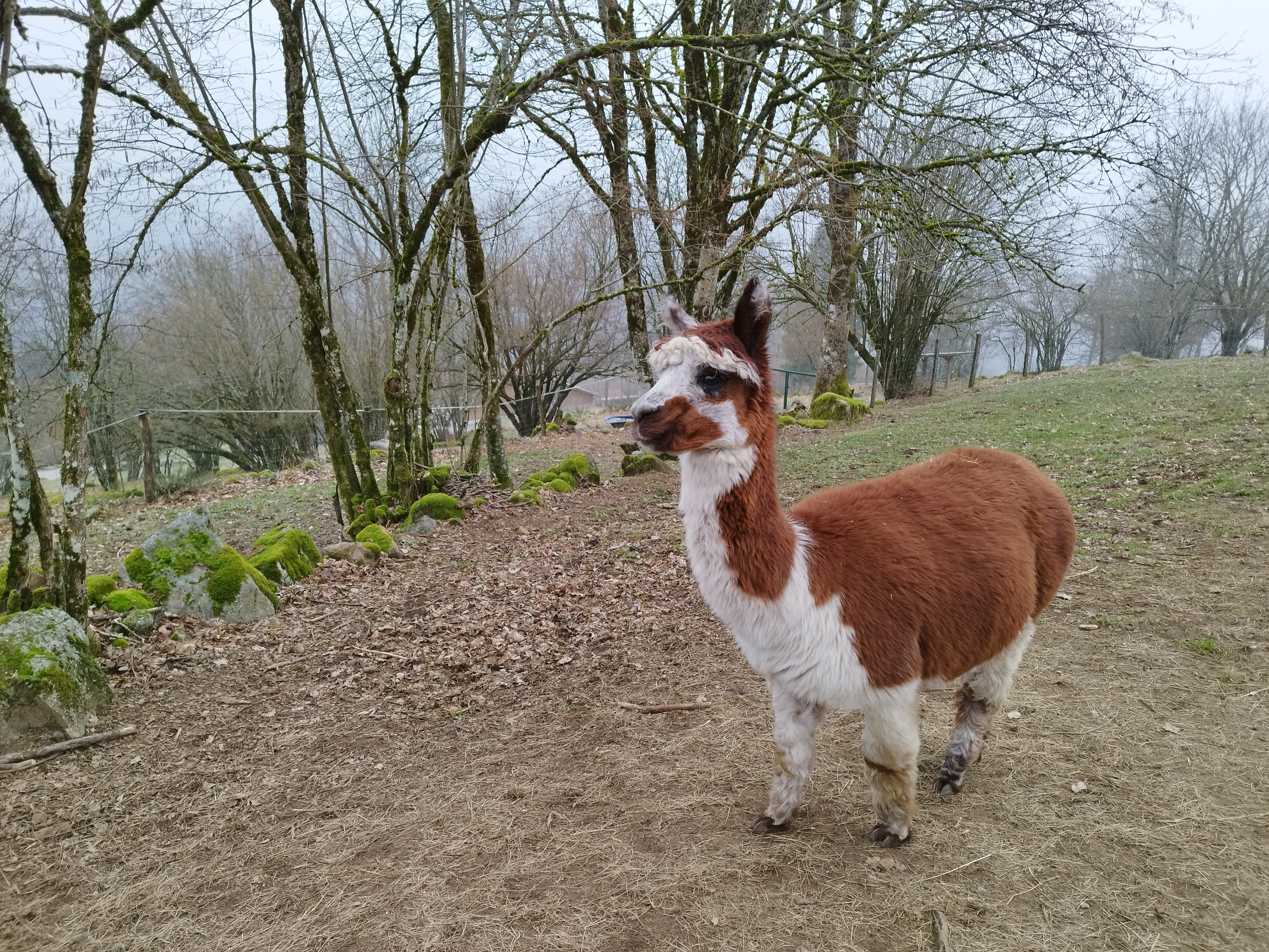 Photo n° 4 de l'avis de Karl.O fait le 05/03/2024 à 17:44