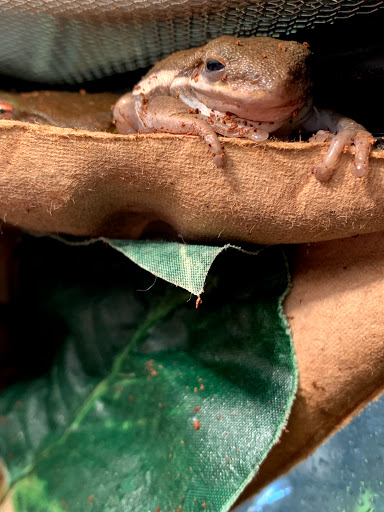 Pet Groomer «Animal Kingdom Grooming», reviews and photos, 339 S Santa Fe Ave, Pueblo, CO 81003, USA