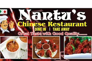Nantu's Chinese Restaurant image