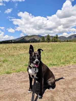 Buffalo Park - photo 22