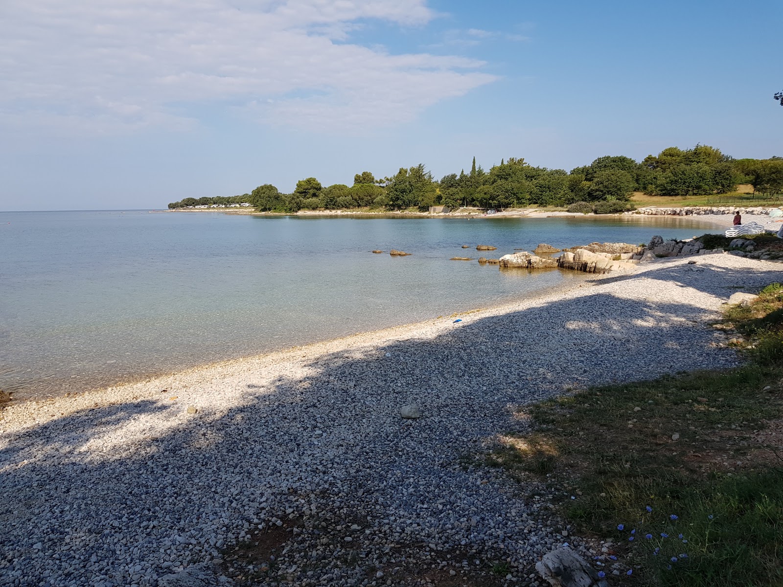 Φωτογραφία του Saladinka beach με μια ευρύχωρη ακτογραμμή
