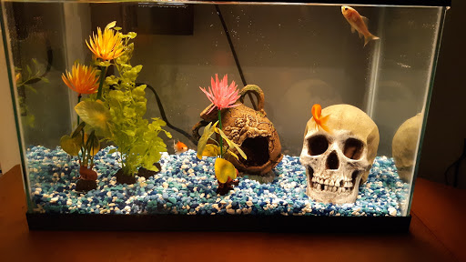 Pet Supply Store «Petco Animal Supplies», reviews and photos, 801 W Lake Ave, Peoria, IL 61614, USA