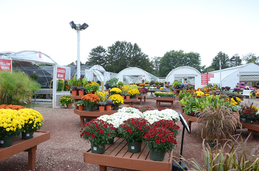 Florist «Countryside Flower Shop», reviews and photos, 5301 E Terra Cotta Ave, Crystal Lake, IL 60014, USA