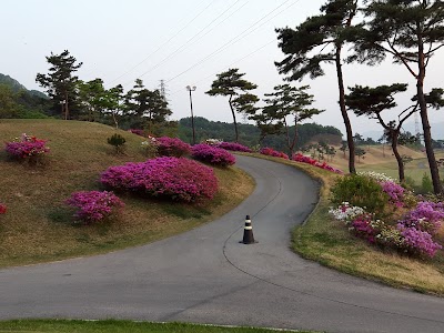 Photos of 스프링베일리조트