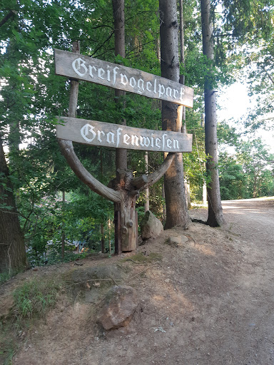 Greifvogelpark Grafenwiesen unter Grafenwiesen, 