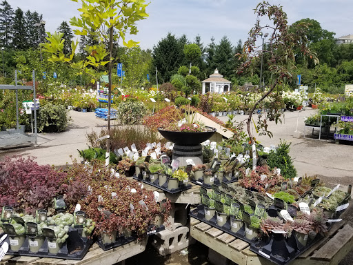 Garden center Mississauga