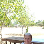 Photo n°2 de l'avis de claudio.g fait le 28/08/2023 à 11:17 sur le  Ristorante Camping Miraglia à Cesarò