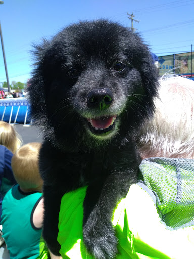 Pet Supply Store «Care-A-Lot Pet Supply», reviews and photos, 1924 Diamond Springs Rd, Virginia Beach, VA 23455, USA