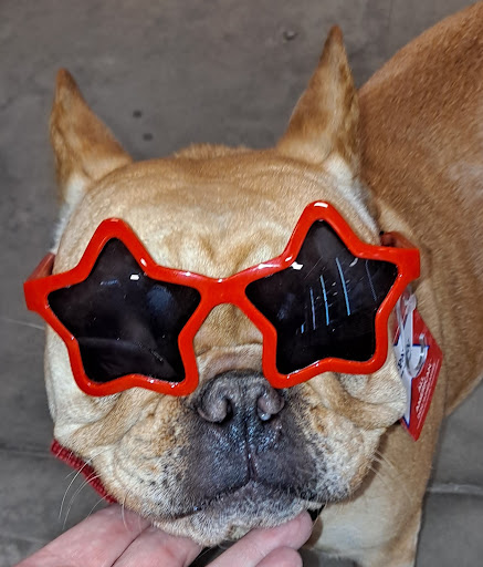 Pet Supply Store «PetSmart», reviews and photos, 8695 Park Meadows Center Dr, Lone Tree, CO 80124, USA