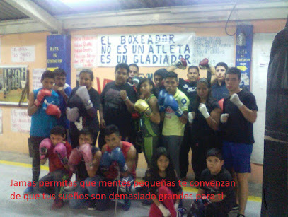 Velazquez Boxing Gym - esquina con, calle Francisco I Madero, Benito Juárez, Lomas del Lago, 54476 Villa Nicolás Romero, Méx., Mexico