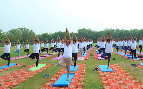 National school of yoga image