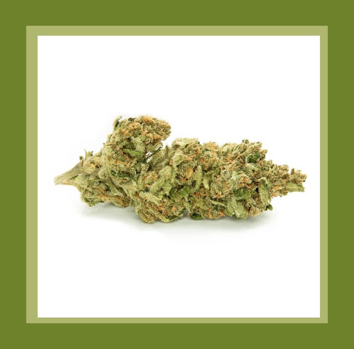 Tattoo Shop «One Love Tattoos», reviews and photos, 903 N Austin Ave, Georgetown, TX 78626, USA