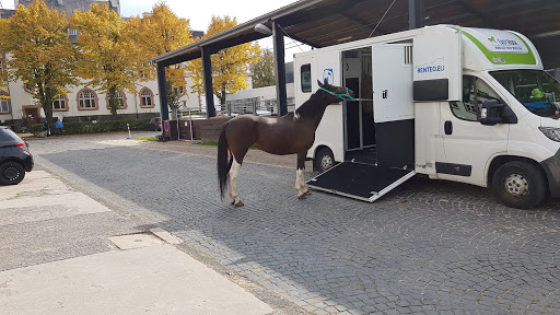 Klinik für Kleintiere - Chirurgie unter Giessen, Hessen