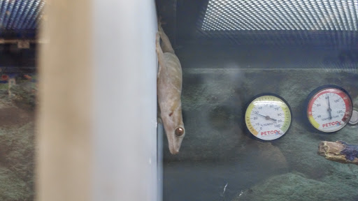 Pet Supply Store «Petco Animal Supplies», reviews and photos, 3975 Cascades Blvd #30, Kent, OH 44240, USA