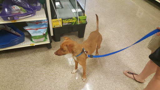 Pet Supply Store «PetSmart», reviews and photos, 916 Loganville Hwy, Bethlehem, GA 30620, USA