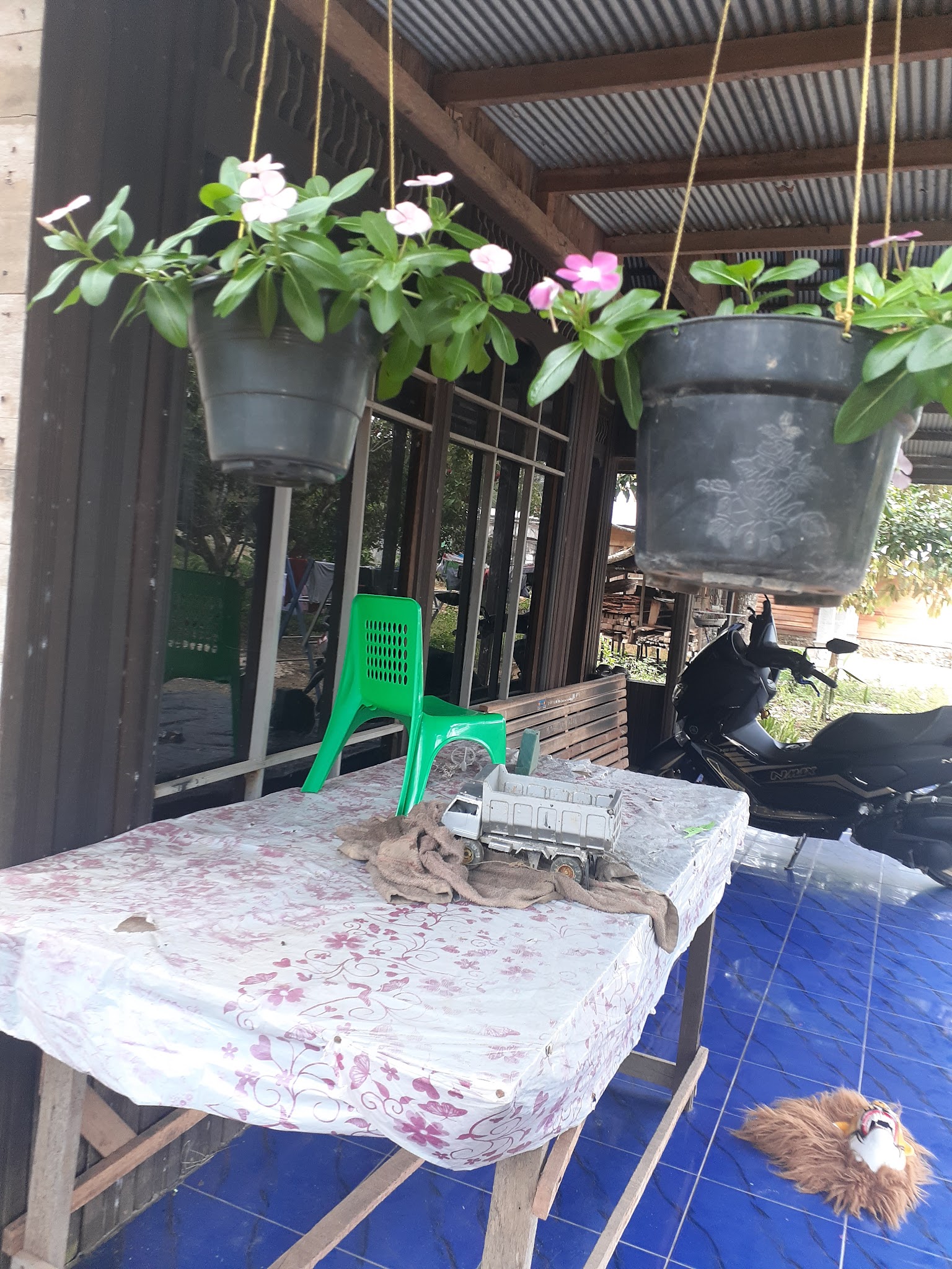 Foto SD  Negeri Purui, Kab. Tabalong