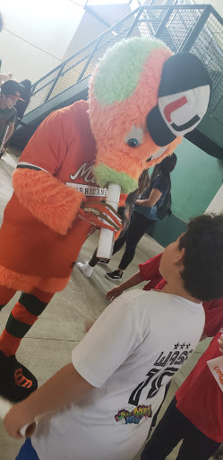 Baseball Field «Alex Rodriguez Park», reviews and photos, 6201 San Amaro Dr, Coral Gables, FL 33146, USA