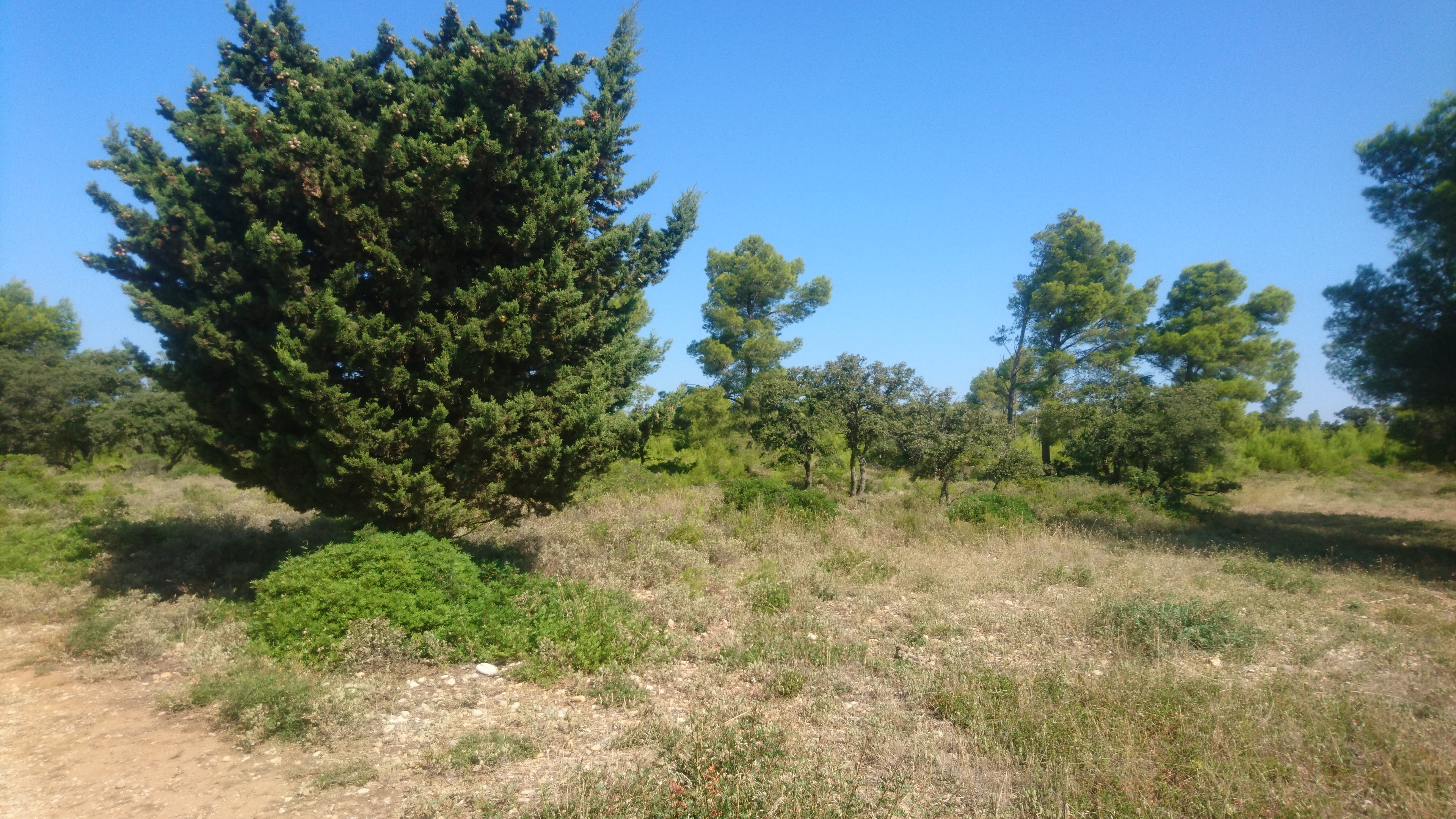 Photo n° 3 de l'avis de jean-yves.u fait le 21/08/2018 à 10:11