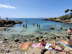 Platja Calo de ses Lleonardes'in fotoğrafı çok temiz temizlik seviyesi ile