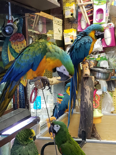 Pet Supply Store «E & N Pet Paradise Shop», reviews and photos, 289 E Gun Hill Rd, Bronx, NY 10467, USA