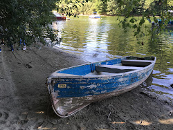 Photo de Bad Bonn Strand avec un niveau de propreté de très propre
