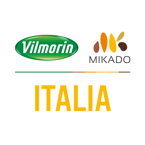 Vilmorin-Mikado Italia