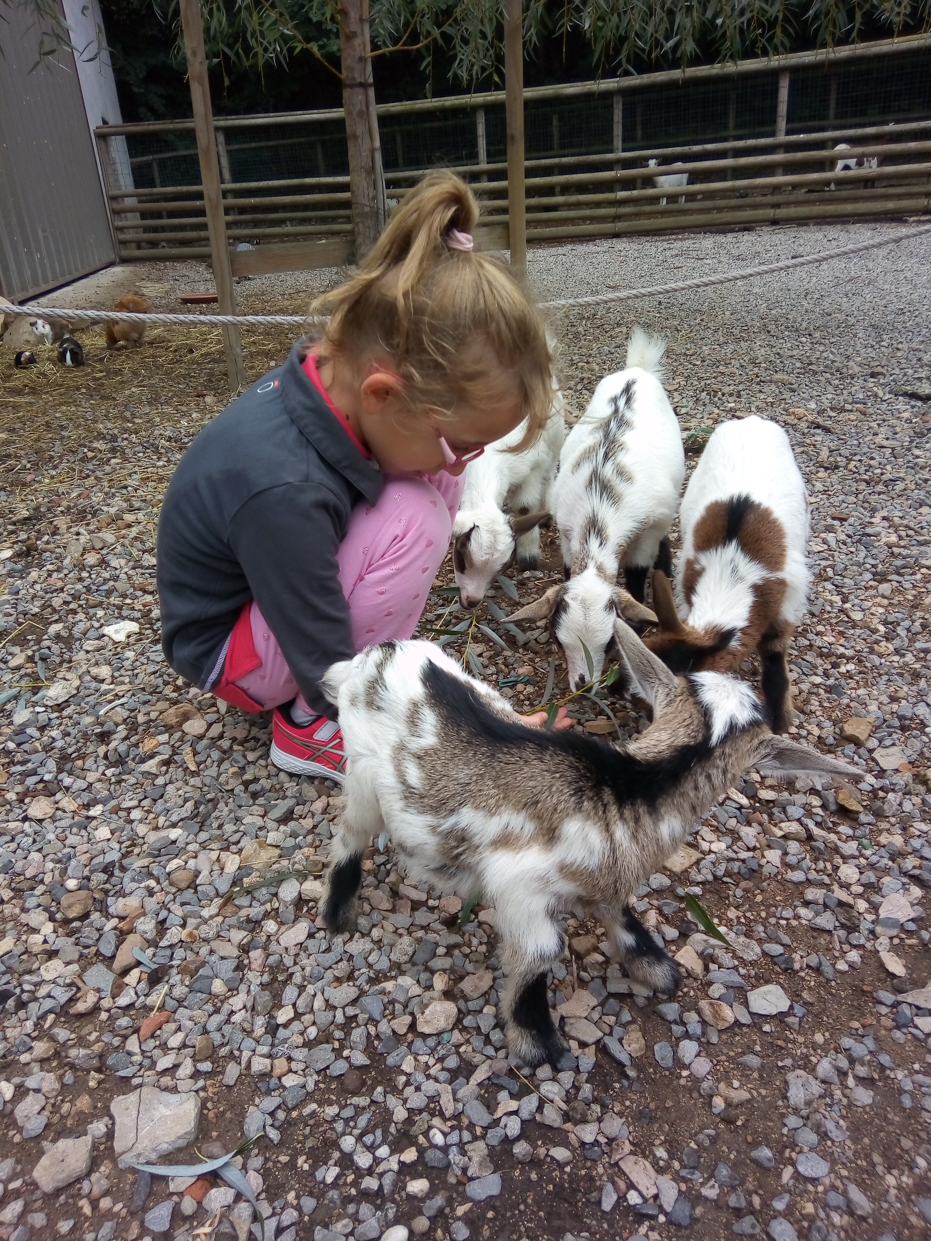 Photo n° 1 de l'avis de titi.a fait le 27/09/2019 à 06:06