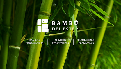 Bambú del Este